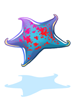 Estrela-do-Mar de Atlanta